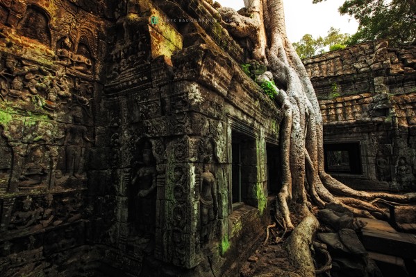 Ta Prohm