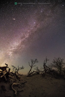 creatures of the night