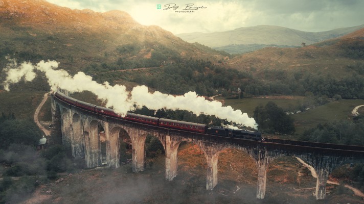 potter train