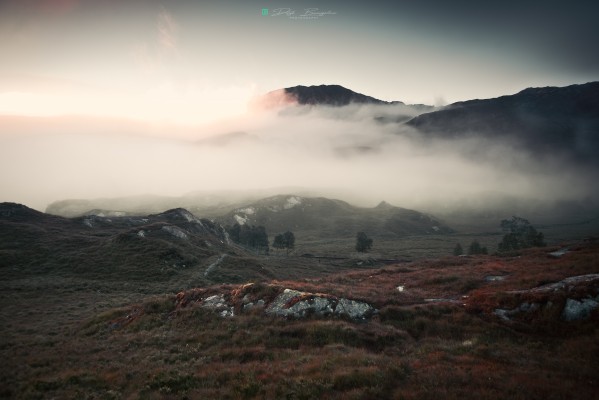 foggy scotland