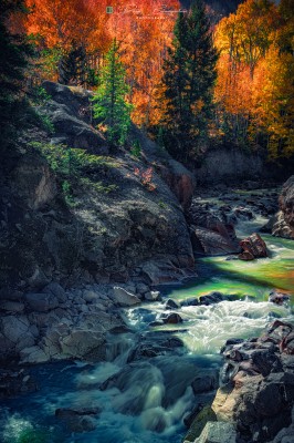 colorado_creek