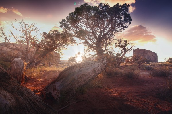 Monument_Valley_Light