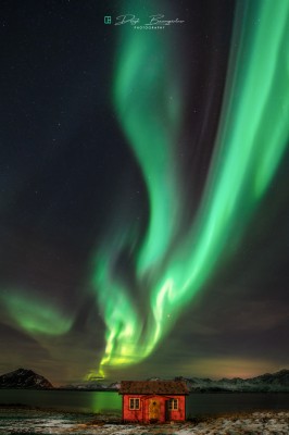 green_light_district