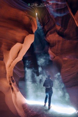 antelope visitor